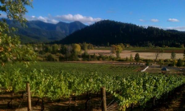 View from Deer Creek Vineyard