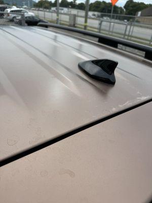 Paramount Hyundai Valdese