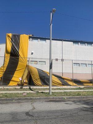 Lloyd Pest & Termite Control