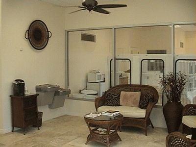 The Cat Hospital Of Tampa Bay