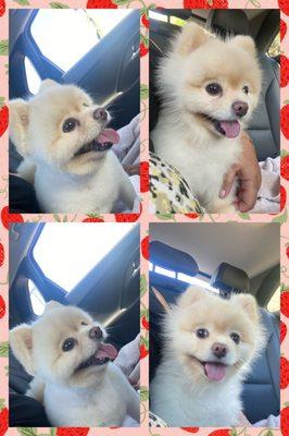 6-21-22 before and after