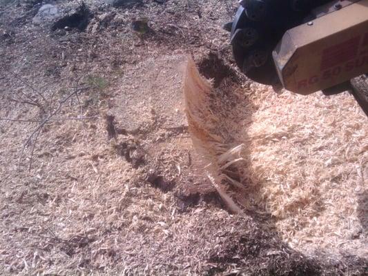 Brett's Total Stump Grinding