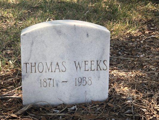 Naples first pioneer.