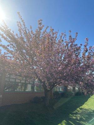 Fairhill Elementary School