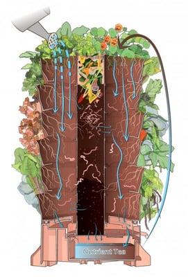 Fresh Greens. Compost your vegetables scraps, enrich the soil with worm castings, minimize watering, grow plants faster,