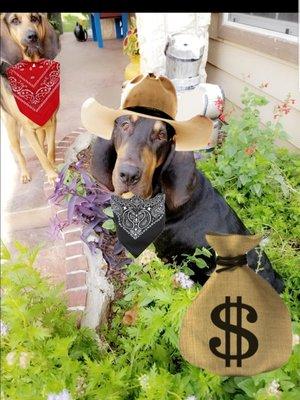 Leslie Kiper - Texas Home Consultants