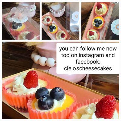 Cielo's Cheesecakes