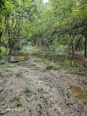 Lakewood Crossing Park