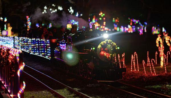 Billy Jones Wildcat Railroad