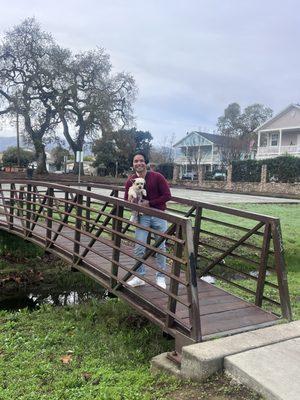 Nice stroll down the park, lots of small bridges