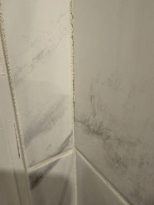 Avenue Medical Construction