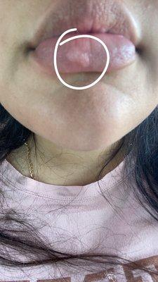 Kidzee Dental & Braces