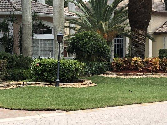 High Performance Lawn Services