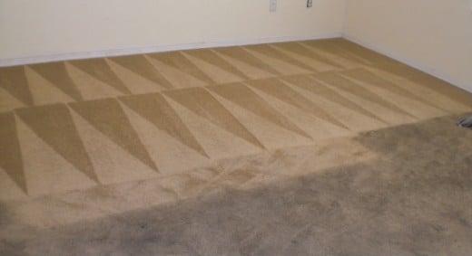 Steam Pro Carpet Cleaning