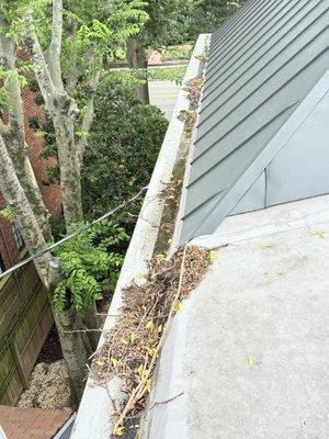 RVA Gutter Pros & Exterior Services