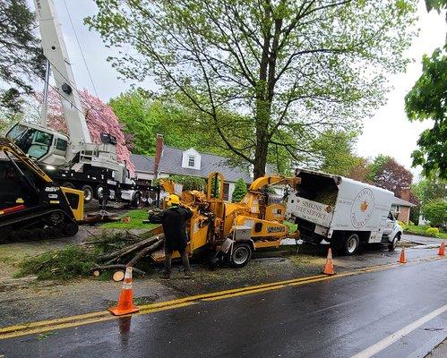 Simkins Tree Service