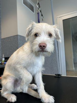 Kiki's Before - First Spaw Day