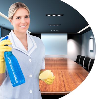 Professional Cleaning Systems