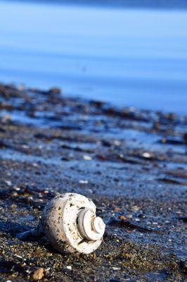 Calf Pasture Point Beach