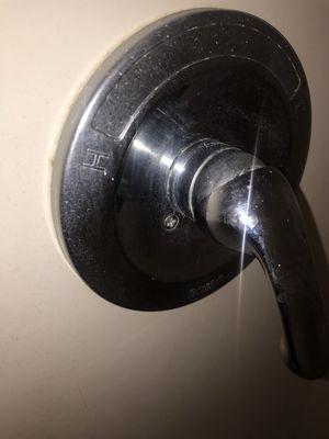 Shower handle guest shower