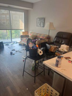 Majestic Cleaning Solutions