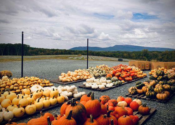 Robertson Family Farm