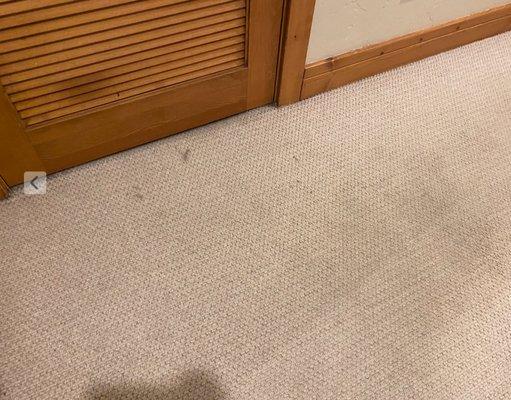 Dirty, stink carpets