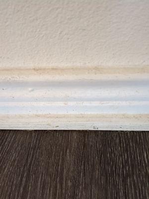 Jeff's Squeaky Clean Service