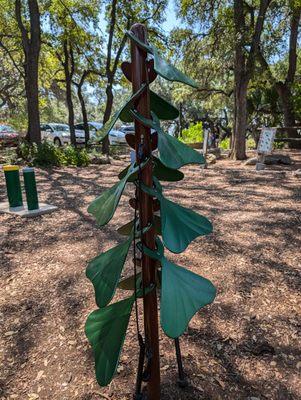 Zilker Botanical Garden
