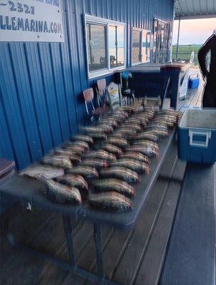 Lake Somerville Marina and Campground