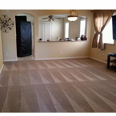 4 Stars Carpet & Tile Cleaning