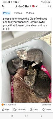 Clearfield County SPCA