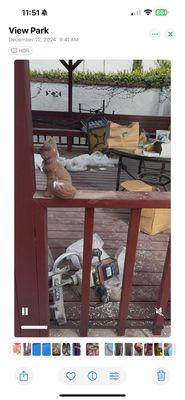 A1 Decorative Coating