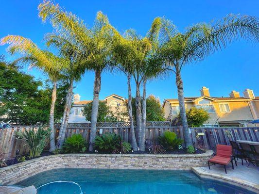 Ramirez Professional Tree Service