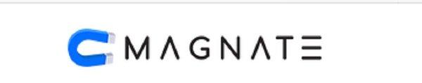 Magnate Marketing Agency