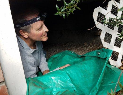 Shine Home Inspection Services