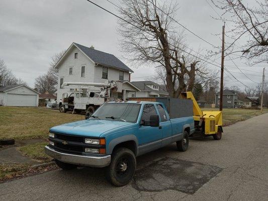 Richie's Tree Service