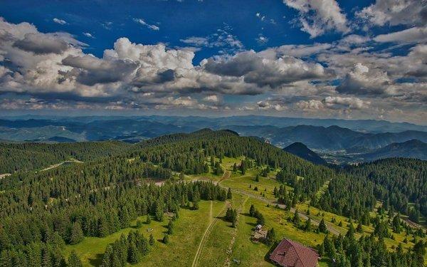 Green Forest Marketing