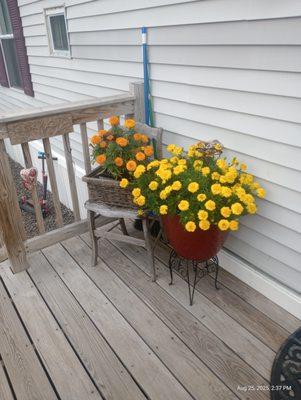 Noble Family Cleaning Service