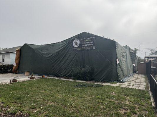 C2C Pest Eliminations