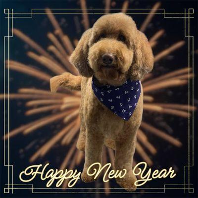 Kontota Grooming of Lewisville