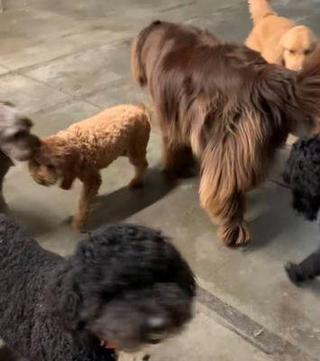 Andy's Boarding Place