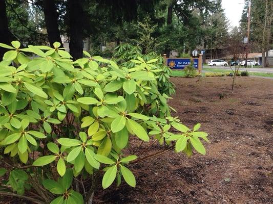 SGI-USA Oregon Buddhist Center