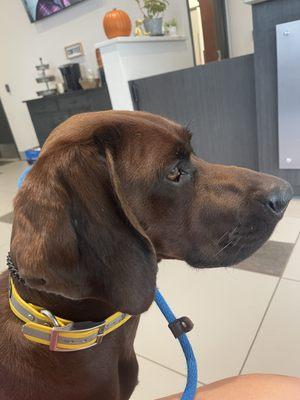 Turtle Creek Veterinary Medical Center