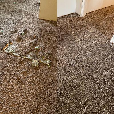 Davis Woodland Carpet Care