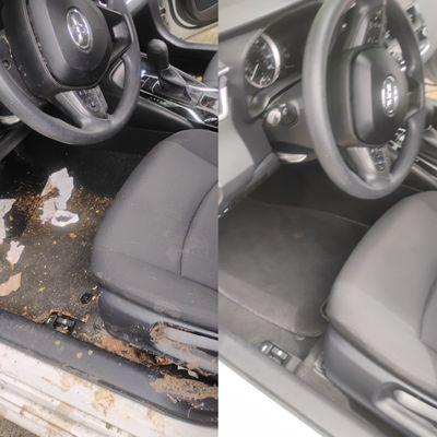 Elite Auto Spa Mobile Detailing and Ceramic Coatings