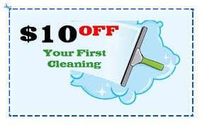 Sparkling Clean Windows