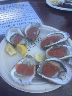 Wellfleet Oyster Festival