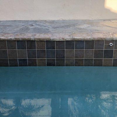 Pristine Pool Tile Cleaning