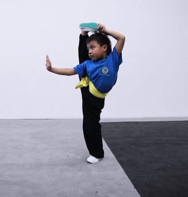 Summit Wushu Academy